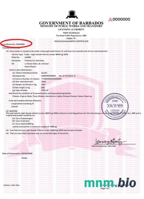 Szablon dowodu rejestracyjnego pojazdu Barbados w PSD